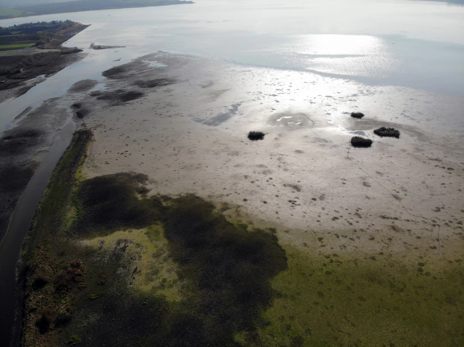 İstanbul barajlarına su kuyusu basılması hastalığa davetiye çıkartıyor
